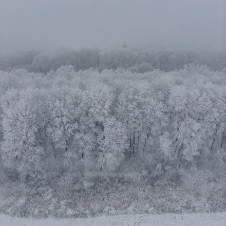 Exterior painting project by Vermont paint contractors